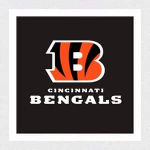 2024 Cincinnati Bengals Season Tickets (Includes Tickets To All Regular Season Home Games)